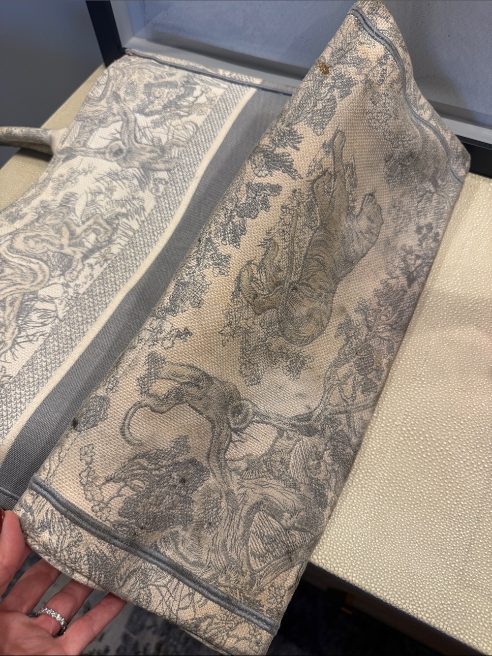 Dior Beige & Grey Christian Dior Book Tote - Picture 15 of 16